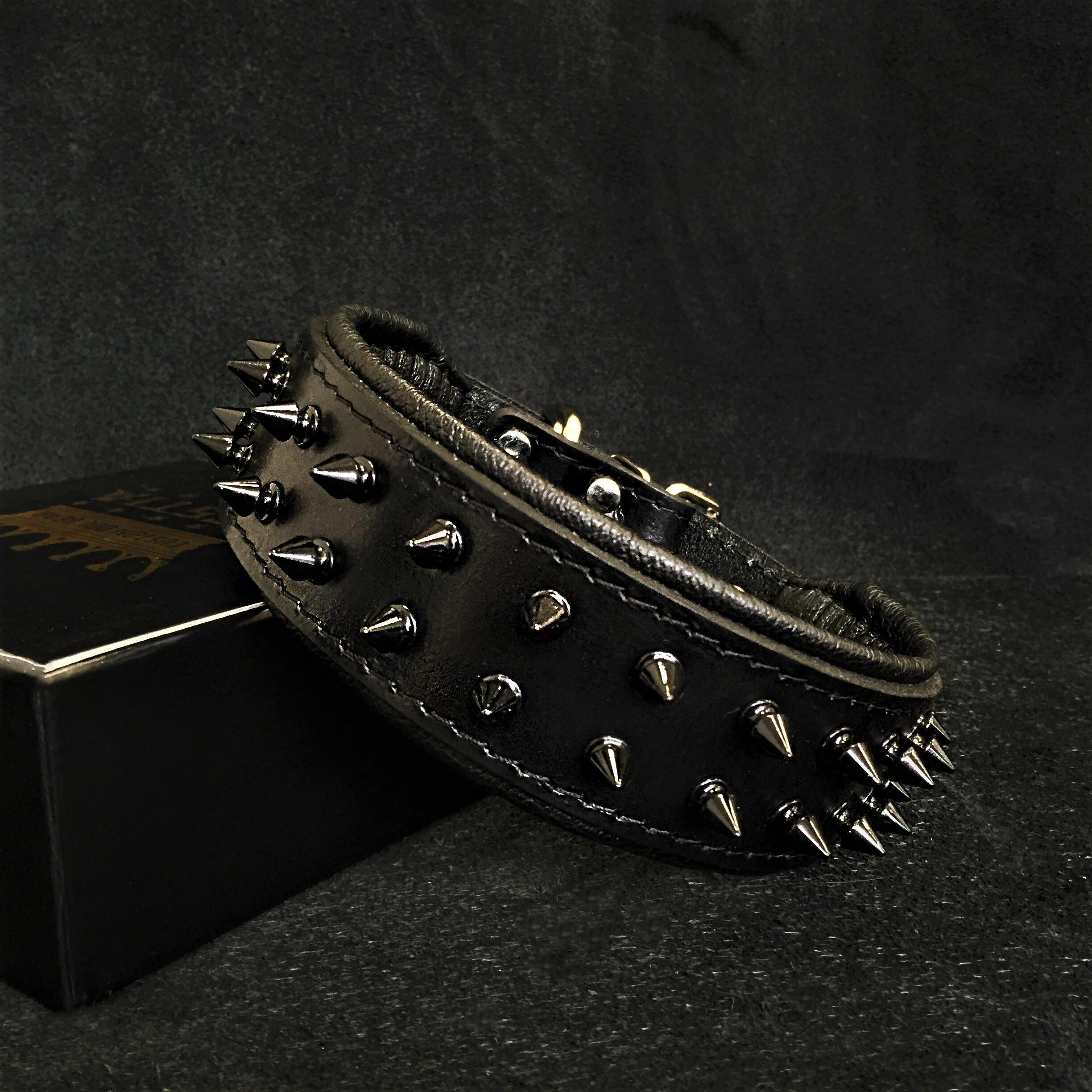 Custom Dog Collar "Frenchie"